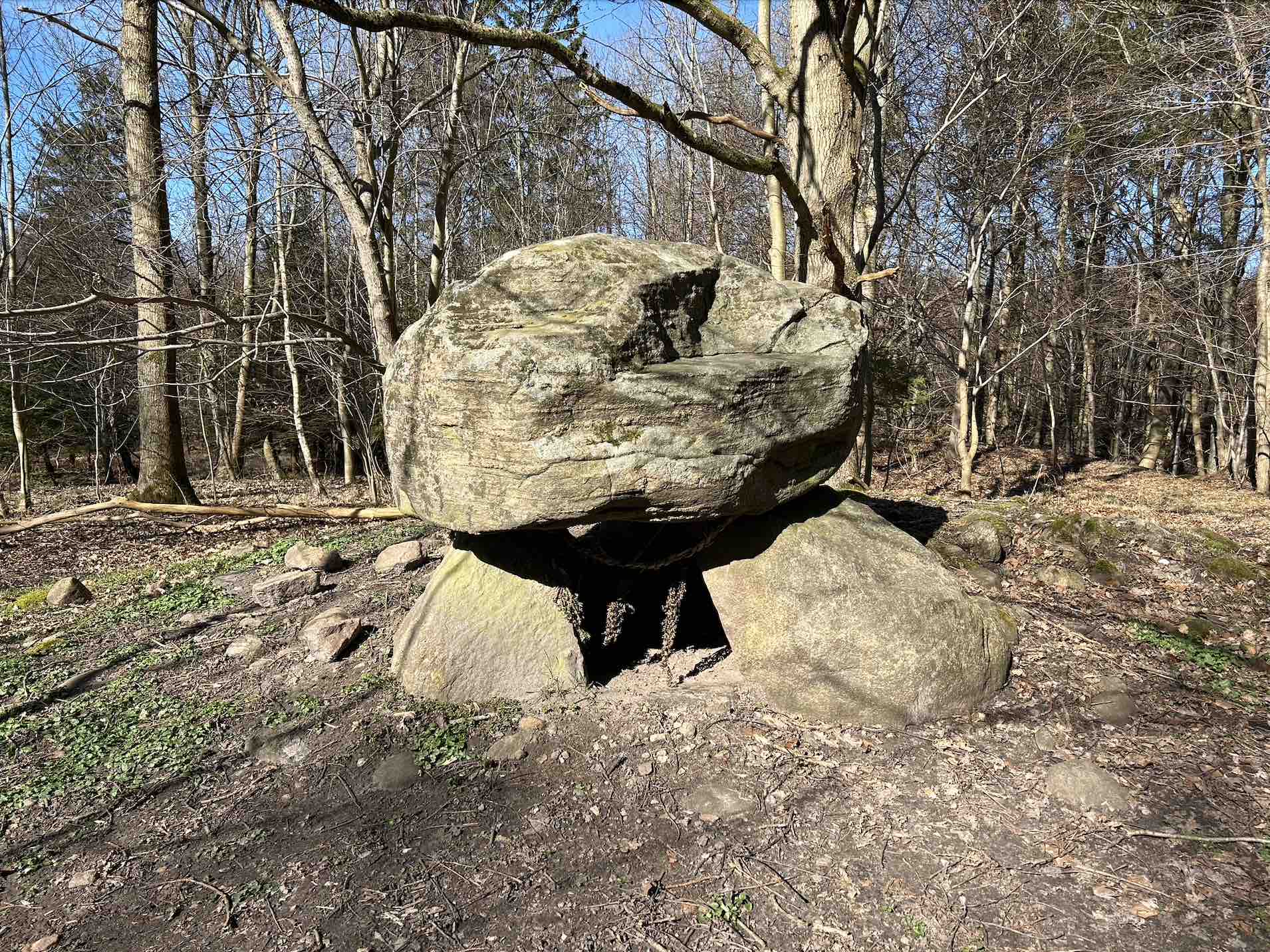 Denne stendysse er i Ulkerup skov. Det er en form for megalitgrav fra bondestenalderen, som typisk blev brugt til begravelser. 